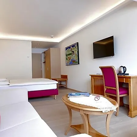 Otel Alpin- Sporthotel, Summercard Included - September Zell am See